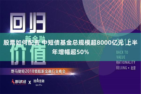 股票如何配资 中短债基金总规模超8000亿元 上半年增幅超50%