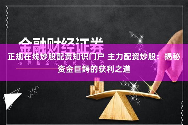 正规在线炒股配资知识门户 主力配资炒股：揭秘资金巨鳄的获利之道