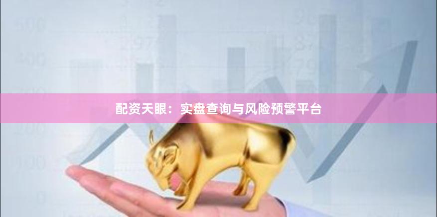 配资天眼：实盘查询与风险预警平台